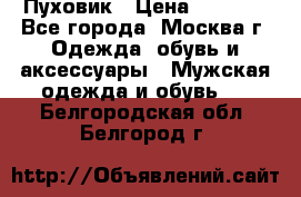 Пуховик › Цена ­ 2 000 - Все города, Москва г. Одежда, обувь и аксессуары » Мужская одежда и обувь   . Белгородская обл.,Белгород г.